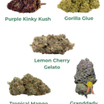 THC Probier Set