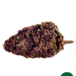 Purple Kinky Kush Superior